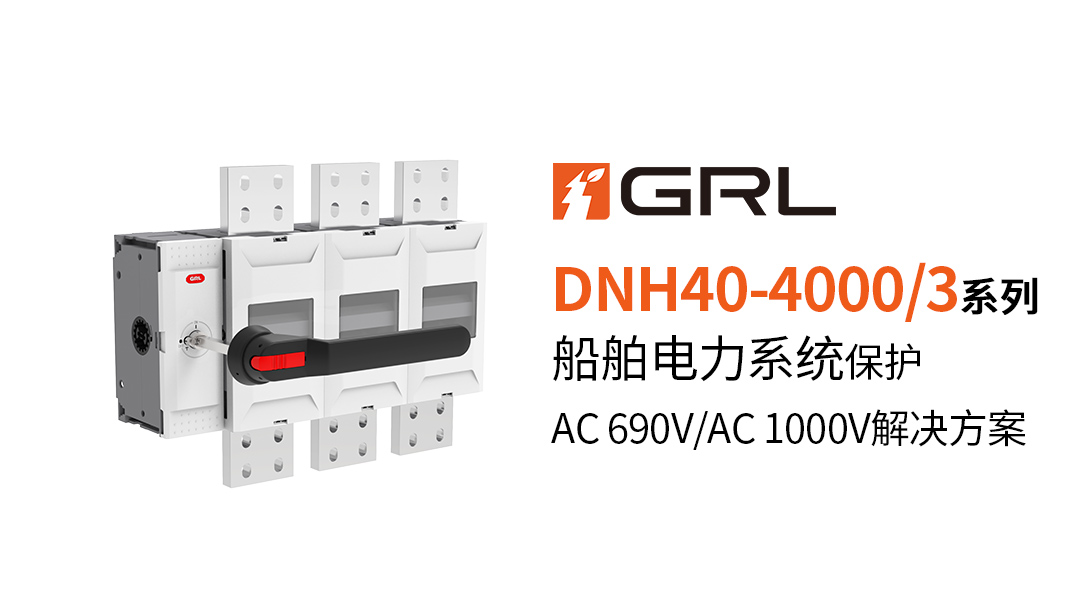 1733106109466072.jpg DNH40.jpg