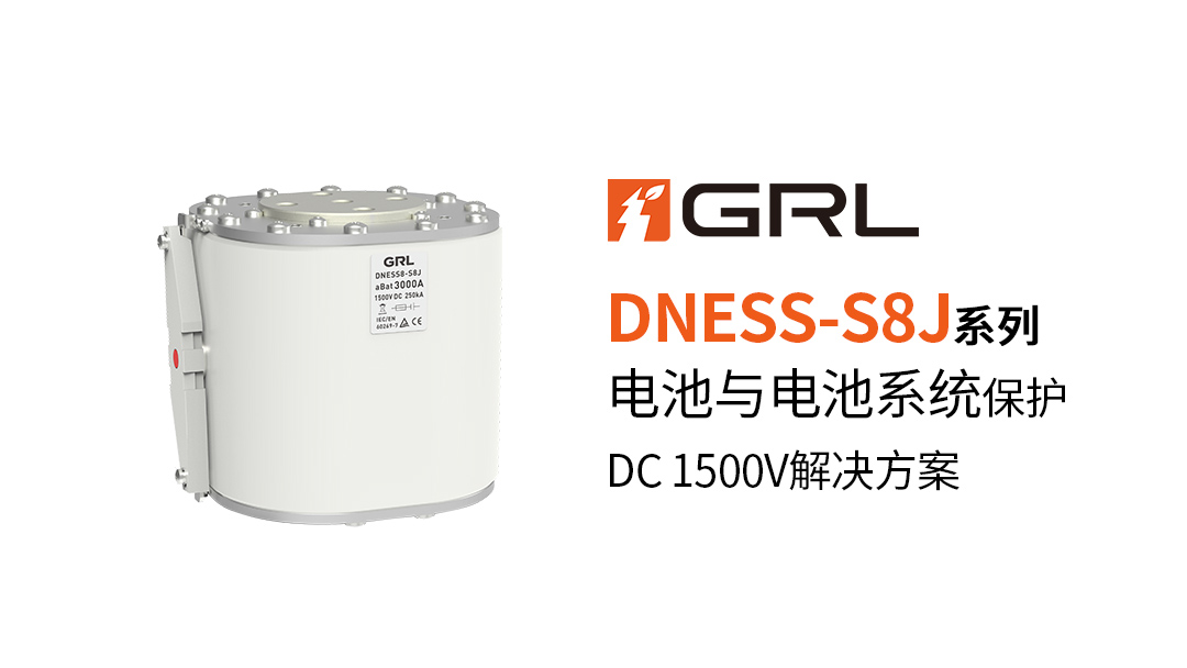 1733206053499108.jpg DNESS8-S8J.jpg